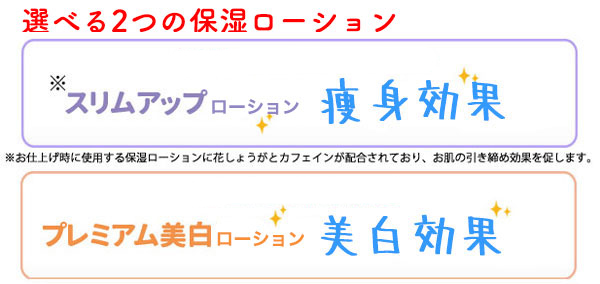 ・スリムアップ脱毛（月額9,500円）・プレミアム美白脱毛（月額12,800円）